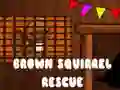 Mäng Brown Squirrel Rescue Internetis