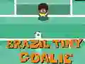 Brazil Tiny Goalie — free online game