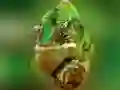 Chameleon Jigsaw — free online game