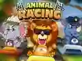 Animal Racing — free online game
