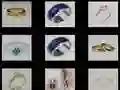 Rings memory — libreng online na laro