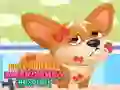 Cute Animals Emergency Hospital — free online game