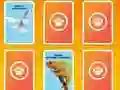 National Geographic Kids Matching — free online game