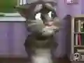 Trò chơi Talking Tom Cat 2 trực tuyến