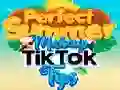Perfect summer makeup tik tok tips — free online game