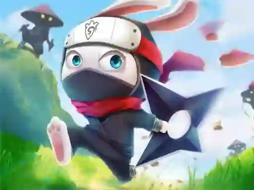 Ninja Rabbit — free online game