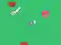 Cute Animals — free online game