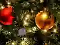 Find The Child Toy — free online game