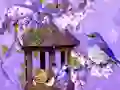 Wonderful Humming Bird Land Escape — free online game