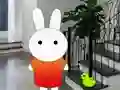 Finding The Naughty Bunny — free online game