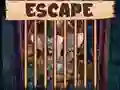 Beautiful Little Bat Escape — free online game