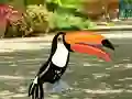 Find Woodpecker Pair — free online game