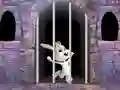 Victory Rabbit Escape — free online game