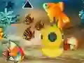 Save The Mother Fish — free online game