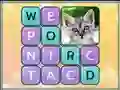 Trò chơi Word Search Pictures trực tuyến