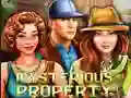 Mysterious Property — free online game
