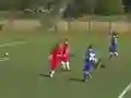 Trò chơi Quiz-Referee trực tuyến
