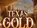 Gioco Texas Gold in linea