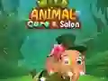 Wild Animal Care & Salon — free online game