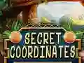 Secret Coordinates — free online game