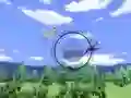 Wii Sports Birdwatching — free online game