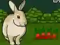 Rescue The Grey Rabbit — free online game