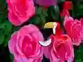 Precious Rose Escape — free online game