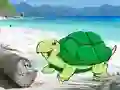 Beach Crab Pair Escape — free online game