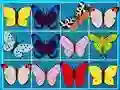 King Of Mahjong — free online game