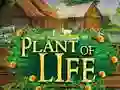 Plant of Life — free online game