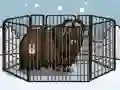 Rescue The Musk Ox — free online game