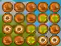 Squirrel Connection — free online game