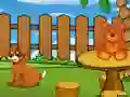 Funny Iguana Escape — free online game