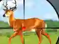 Permainan Wild Hunt Hunting Games 3D talian