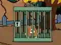 Staffordshire Bull Terrier Escape — free online game