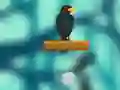 Crow Smasher — free online game