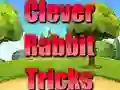 Clever Rabbit Tricks — free online game