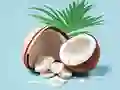 Coloring Book: Coconut — free online game