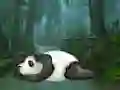 Wakeup The Sleeping Panda — free online game