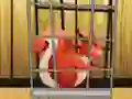 Rescue The Red Squirrel From Cage — free online game
