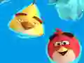 Coloring Book: Angry Birds — free online game