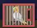 Release The Cockatiel Bird — free online game