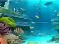 Jigsaw Puzzle: Under Sea — free online game