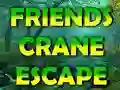 Friends Crane Escape — free online game