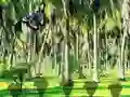 Гульня Rescue Tasmanian Tiger онлайн