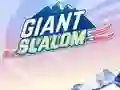 Giant Slalom — free online game