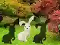 Assist The White Cock — free online game