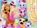 Pets Grooming Bubble Party — free online game
