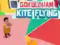 Jethalal Kite Flying — free online game