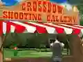 Crossbow Shooting Gallery — free online game